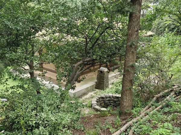 정순왕후가 옷감을 자주색으로 염색하던 자지동천