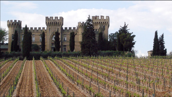 Vineyards in Chateauneuf du Pape, nearby the French town of Avignon. Credits: CC BY 2.0 www.wikipedia.org
