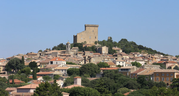 A view of the village of Chateauneuf du Pape with the remains of the medieval castle of pope John XXII. Credits: CC0 (Public Domain) www.wikipedia.org
