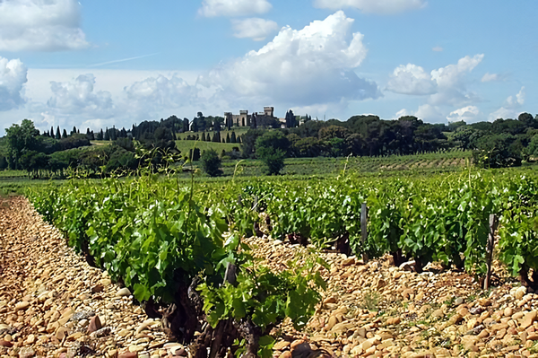 Vineyards around the village of Chateauneuf du Pape. Credits: Philipp Hertzog. CC BY-SA 3.0 www.wikipedia.org