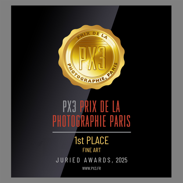 권학봉 사진작가의 ‘독립운동: 겹쳐진 시선(The Independence Movement: Layered Gazes)’이 PX3 2025에서 Fine Art 부문 금상(Gold) 수상 및 Fine Art 부문 전체 1위인 ‘Fine Art Photographer of the Year - Professional’로 선정됐다
