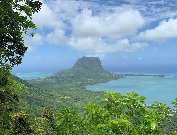 View of the peninsula with Le Morne, as seen from one of the viewpoints of Ebony Forest Chamarel. en.wikipedia.org