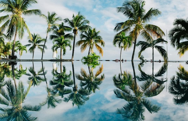 dan-freeman-wAn4RfmXtxU-Mauritius-unsplash
