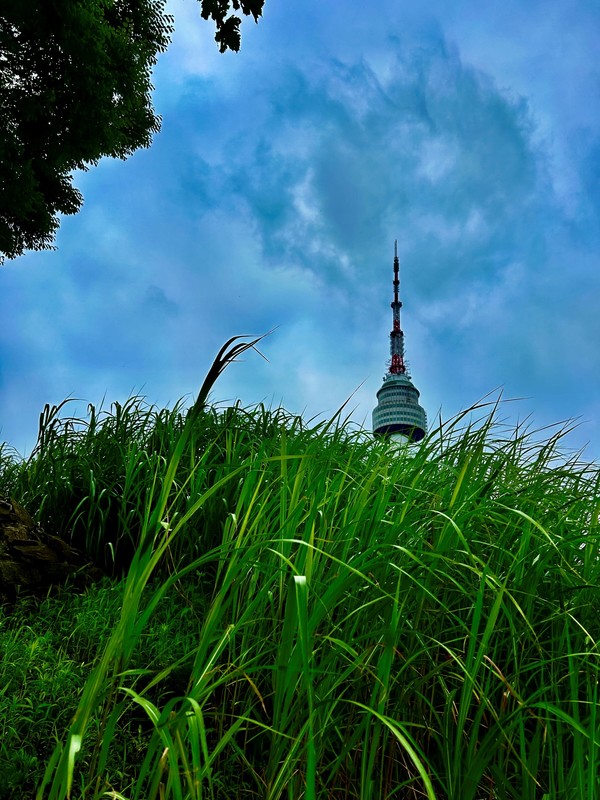 가을 남산 ⓒ Douglas JEON