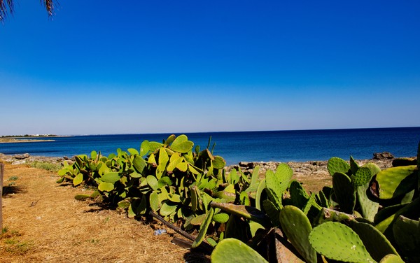 GettyImages-1333452338