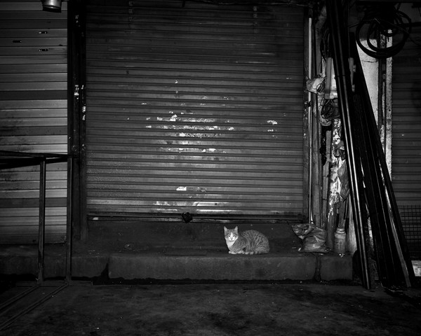 을지로, 서울, 2021