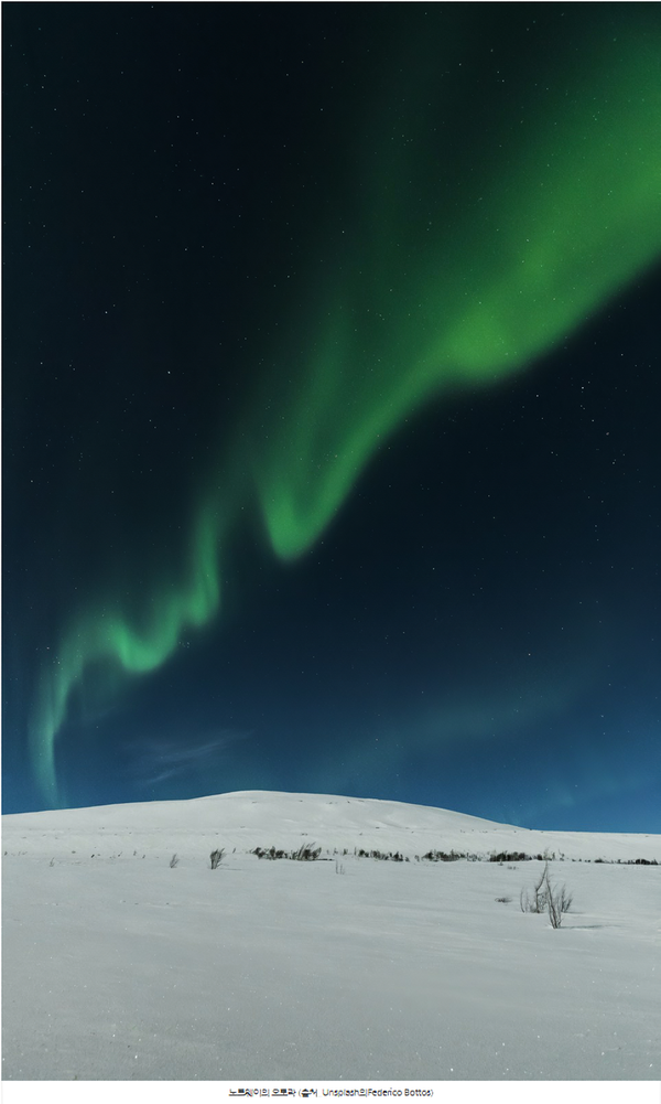 노르웨이의 오로라 (출처_Unsplash의Federico Bottos)