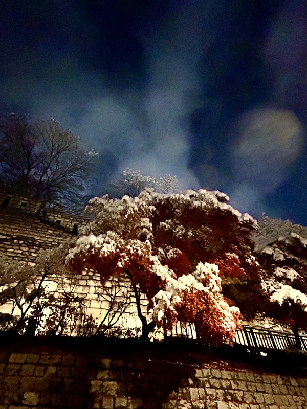 Dasan Fortress Road ⓒ Douglas JEON