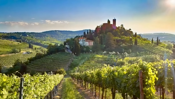 Landscapes and vineyards of Valpolicella. Verona, Italy. Credits: www.quattrocalici.it