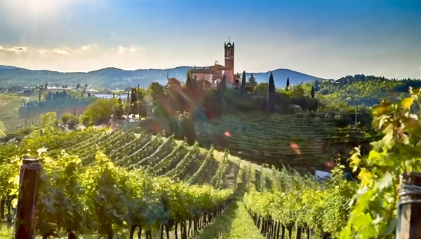 Landscapes and vineyards of Valpolicella. Verona, Italy. Credits: www.quattrocalici.it