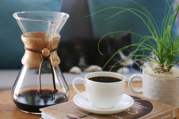 elin-melaas-OWAM0WpDmBM-unsplash