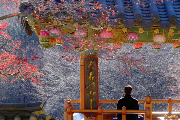 통도사, 양산, 경남, 2025