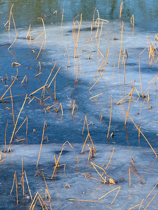 물의 정원 ⓒ Douglas JEON