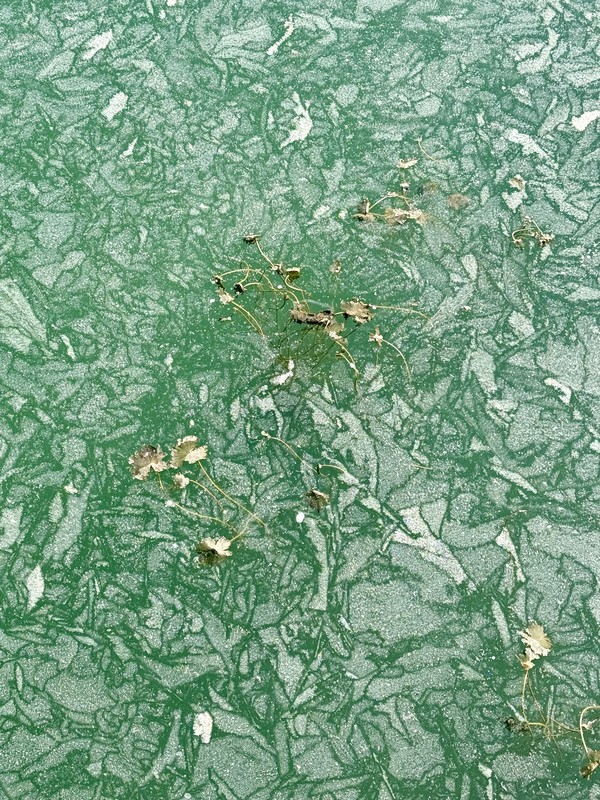 물의 정원 ⓒ Douglas JEON