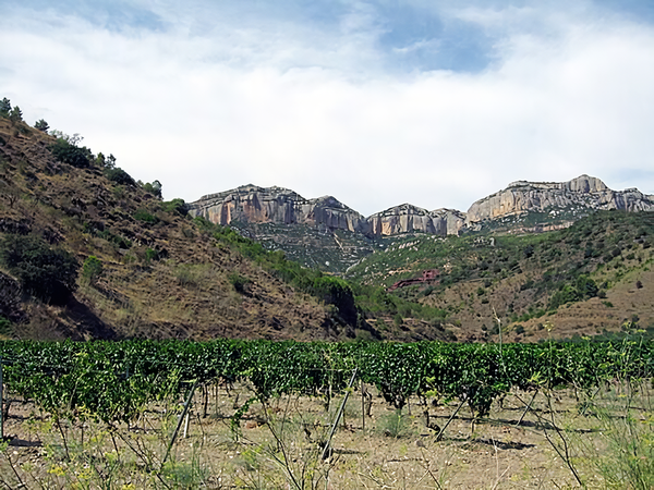 Vineyards once belonged to the Carthusian monastery of Escaladei. Priorat, Catalonia. Spain. Credits: CC BY-SA 2.5 www.wikipedia.org