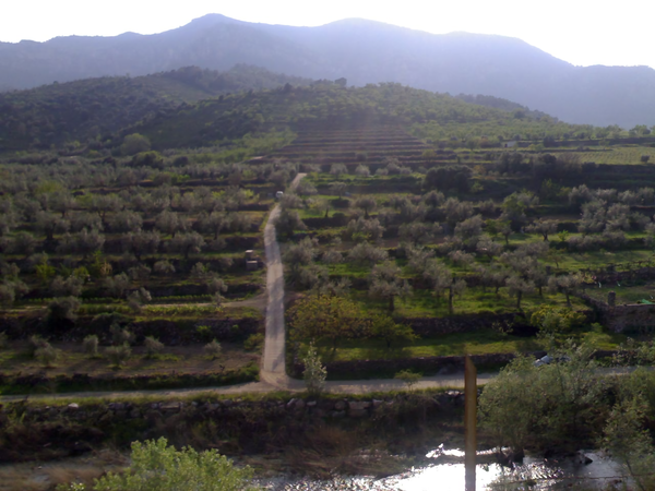 The steep terraced hillside of Priorat. Credits: CC BY-SA 2.0 www.wikipedia.org