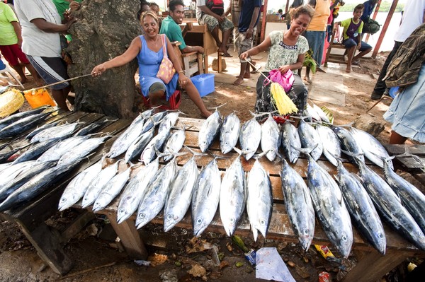 SPTO(SOLOMONS)_033_DK_2013