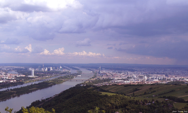 비엔나의 레오폴츠베르크 언덕에서 본 도나우 강.