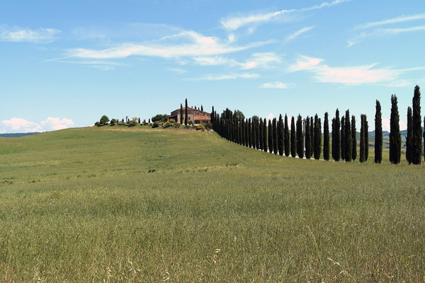 A landscape in the Val d’Orcia near Siena. Tuscany, Italy. Credits: CC BY-SA 3.0 www.wikipedia.org