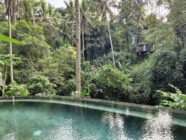 ARMA(Agung Rai Museum of Art)