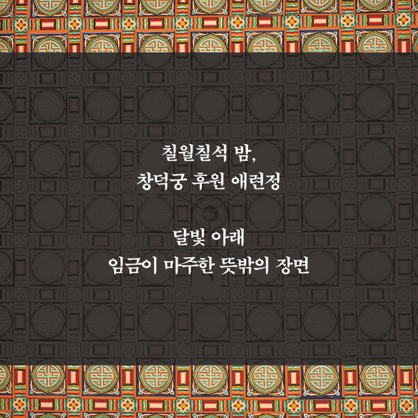 장미이야기_카드뉴스